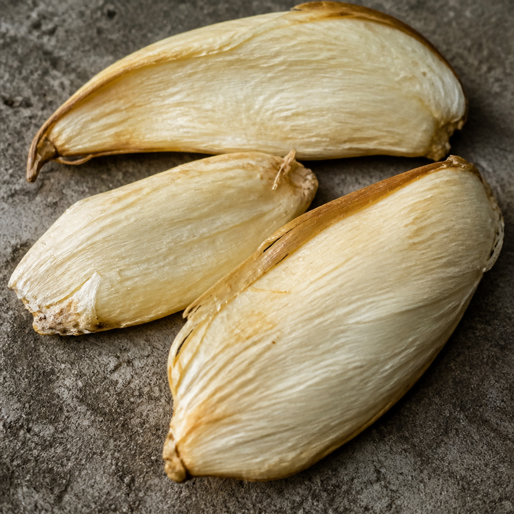 Fruit Seeds