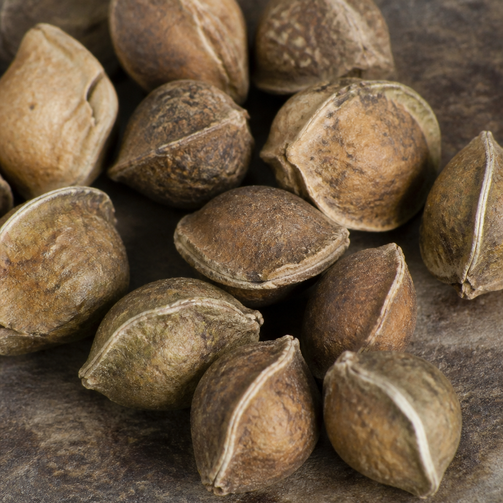 Seasonal sowing calendar
